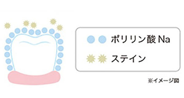 whitening_image02
